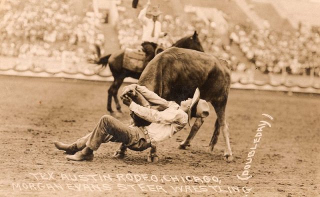 Bulldogging photo of Cowboy Morgan Evans at the Tex Austin rodeo in Chicago (notice that Cowboy Evans has a Western riding boot on his right foot and a low quarter shoe on his left for quick competition dismount.