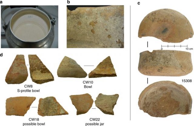 Examples of calcified deposits from modern and ancient vessels at Çatalhöyük. Photo by Nature/Hendy et al CC BY SA 4.0