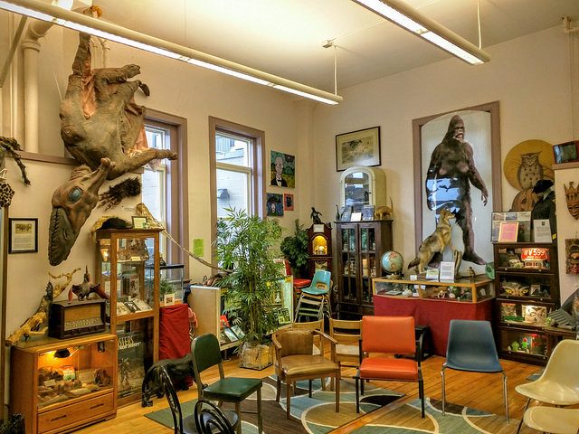 Inside the International Cryptozoology Museum. Photo by sporst CC By 2.0