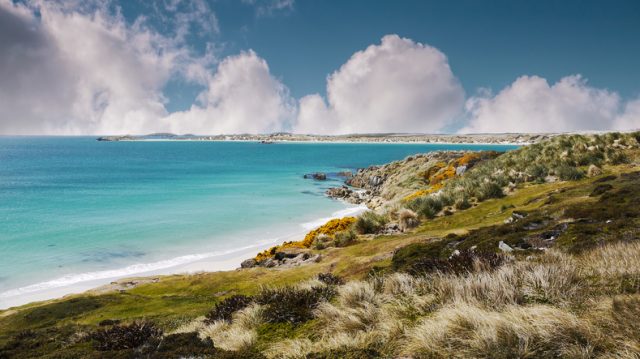 Turquoise water and white beaches of East Falkland Island. Blue sky and fluffy white clouds.