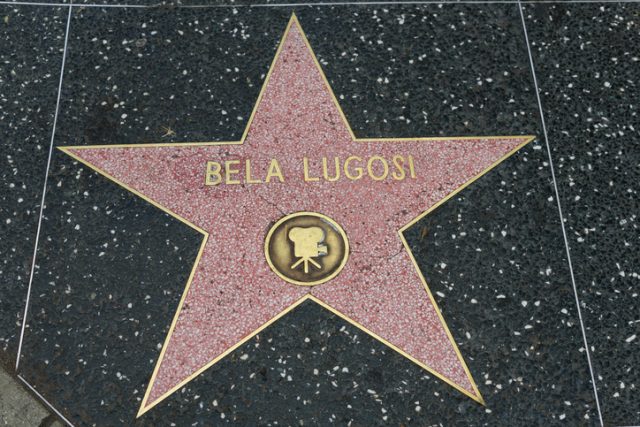 Bella Lugosi star on the Hollywood Walk of Fame in Hollywood, California.