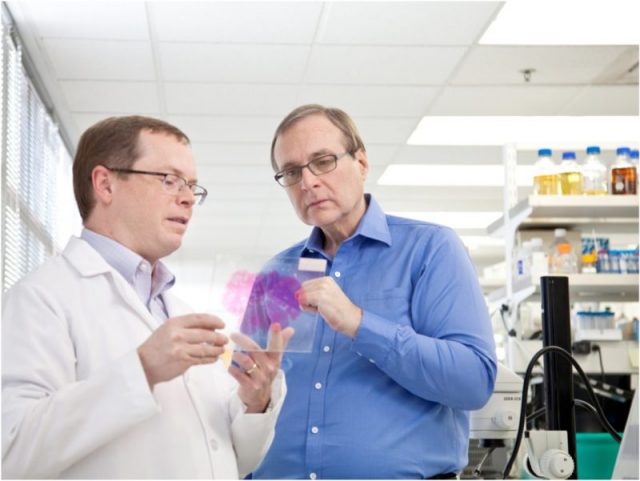 Paul Allen (right) studies a brain sample with Allen Institute for Brain Science’s CEO Allan Jones. Photo by Jordanatvulcan – CC BY-SA 4.0