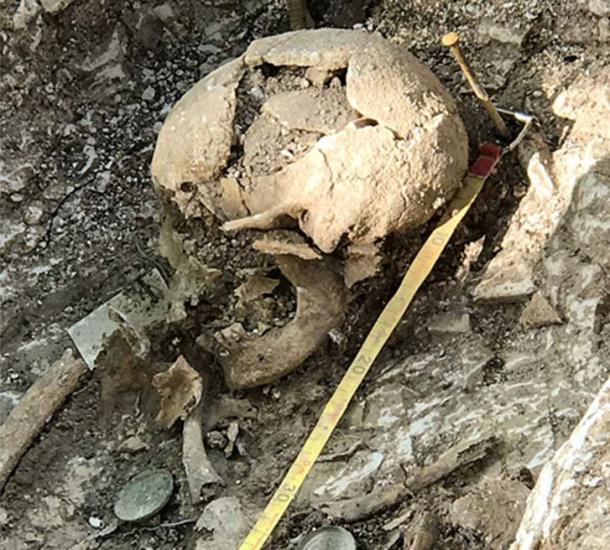 A skull excavated at Barrow Clump in Salisbury Plain. Photo courtesy Crown Copyright 2018