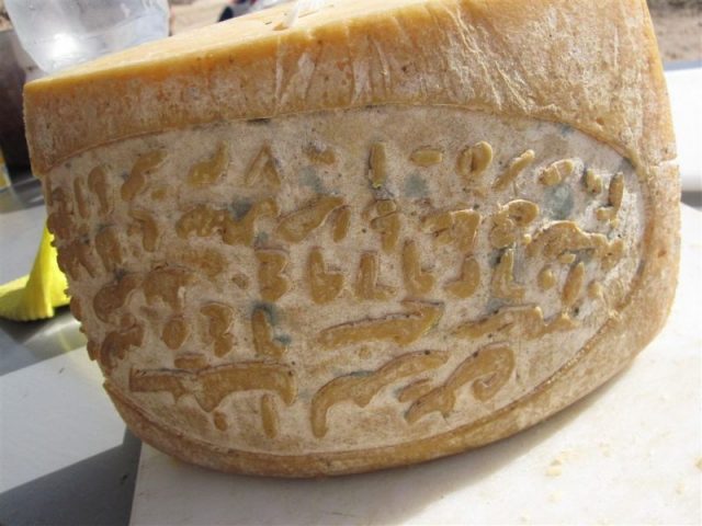 Rumi cheese (Egyptian Arabic: جبنه رومى‎ gebna rūmi [ˈɡebnæ ˈɾuːmi], also known as gebna torki [ˈtoɾki] in Alexandria) is one of the main types of cheese in Egypt. Photo by Tour d’Afrique CC By 2.0