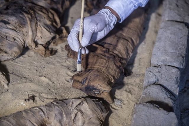 An Egyptian archaeologist cleans mummified cats during the demonstration of a new discovery made by an Egyptian archaeological mission through excavation work at an area located on the stony edge of King Userkaf pyramid complex in Saqqara Necropolis, south of the capital Cairo, on November 10, 2018. Photo credit KHALED DESOUKI/AFP/Getty Images