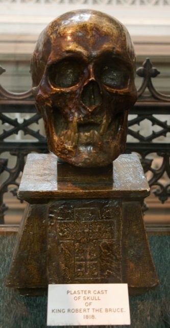 Plaster cast of Robert I’s skull by William Scoular. Photo by Otter CC BY-SA 3.0