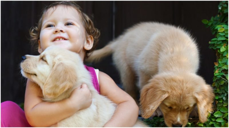 The Girl who was Raised by Dogs for 5 Years due to