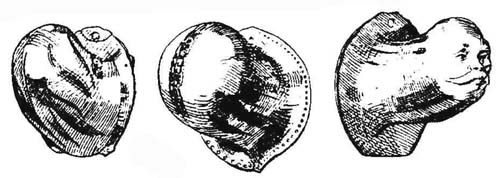 Metal codpieces, 16th century.