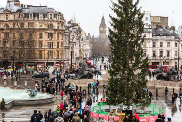 Crowds of tourists flock to the famous Christmas tree in Trafalgar Square, London, UK on a cold, wet day in December.