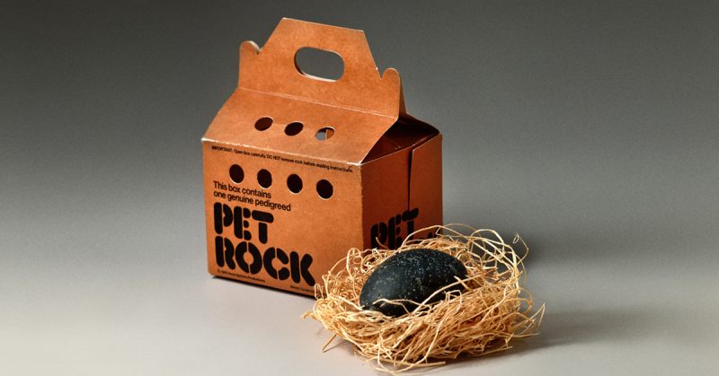 Pet Rocks! The Most Hilarious Toy Fad 