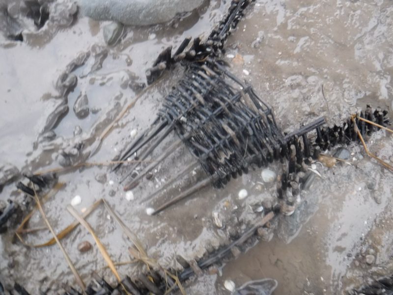 Fishing Baskets From the 14th Century Discovered by Two Brothers on a