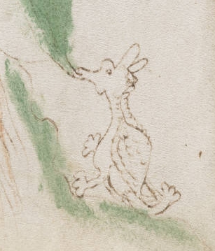 Detail of page 50, f25v; resembling a dragon