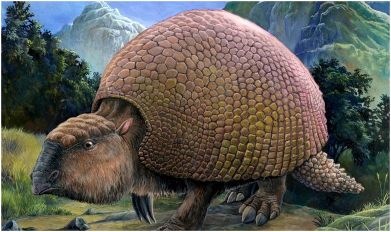 Free Printables of the Parts and Lifecycle of a Pumpkin 2