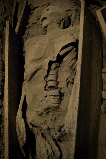 The ‘crusader’ mummy, St. Michan’s Church, Dublin. Credit www.davewalshphoto.com