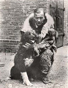 Celebrated sled dog Balto with Gunnar Kaasen. Norwegian immigrant Gunnar Kaasen was the musher on the last dog team that successfully delivered diphtheria antitoxin to Nome, Alaska in 1925. Balto was the lead dog for that final leg of 53 miles of the total 674-mile trip.