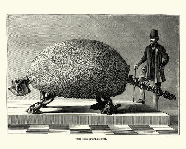 Vintage engraving of a Glyptodon, a genus of large, armored mammals of the subfamily Glyptodontinae that lived during the Pleistocene epoch.