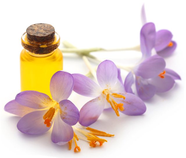 Saffron crocus flower with extract in a bottle