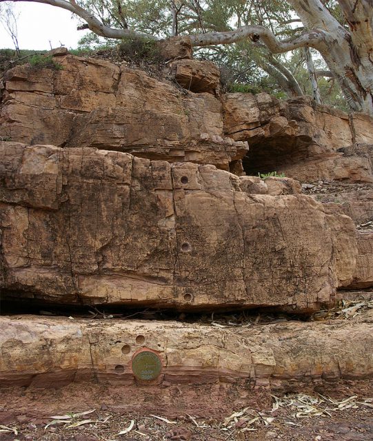 Photograph showing the ‘golden spike’ (bronze disk in the lower section of the image) of the Global Boundary Stratotype Section and Point (GSSP) for the Ediacaran period, located in the Flinders Ranges in South Australia. Photo by Peter Neaum CC BY-SA 3.0