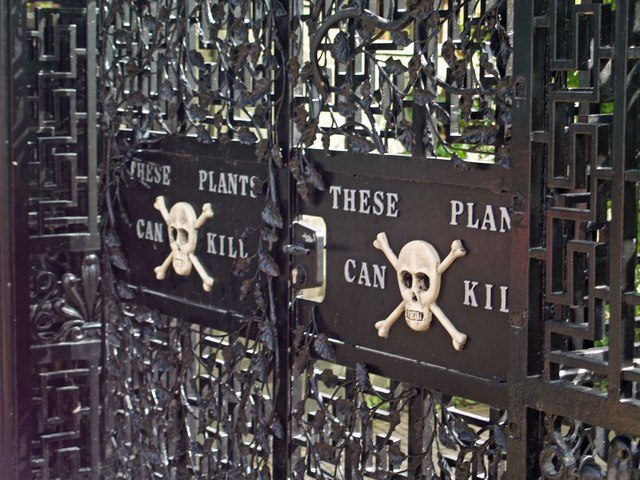Entrance gate to the Poison Garden. Photo by Steve F. CC BY-SA 2.0