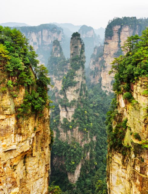 Amazing natural quartz sandstone pillar named the Avatar Hallelujah Mountain and other wooded rocks in the Tianzi Mountains, Zhangjiajie National Forest Park, Hunan Province, China