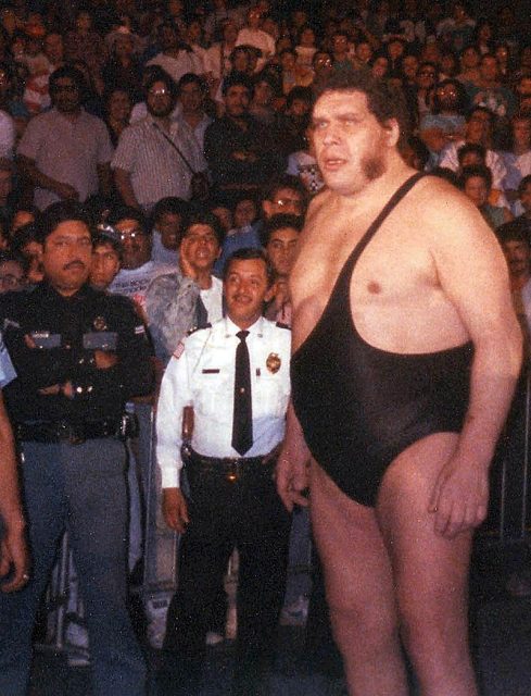 Professional wrestler André the Giant walking to the ring in the late 1980s. Photo by John McKeon CC BY-SA 2.0