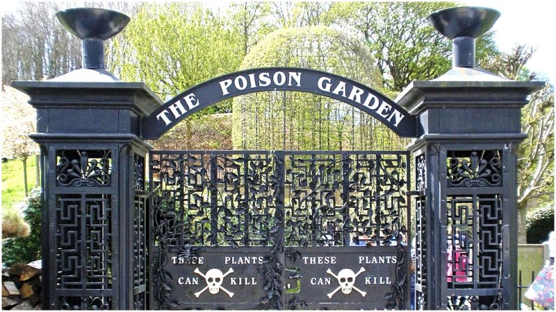 Tourists Flock To This Poison Garden But A Trip There Could
