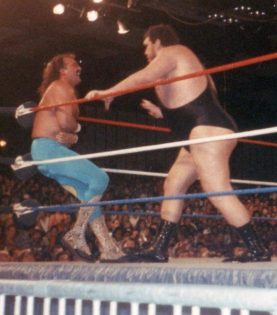Roussimoff’s feud with Jake Roberts derived from Roussimoff’s fear of snakes. Photo by John McKeon CC BY-SA 2.0