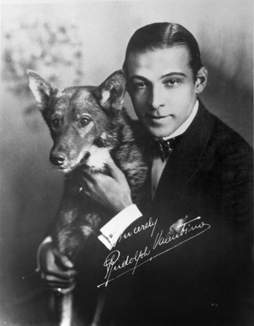 A black and white photograph of Rudolph Valentino with his dog