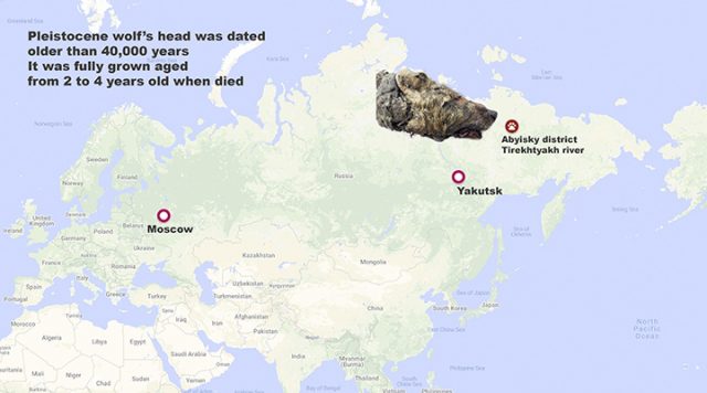 Where the head was found. Photo courtesy of The Siberian Times