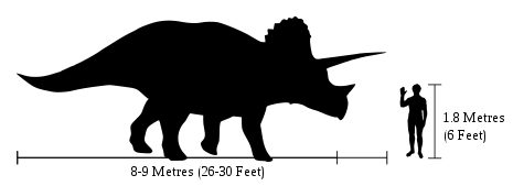 Triceratops size