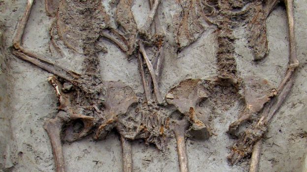 Gender Revealed of "HandHolding" Skeletons Buried