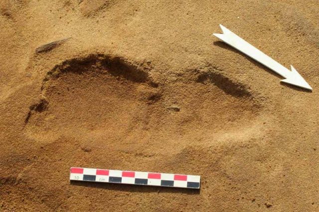 Neanderthal footprint