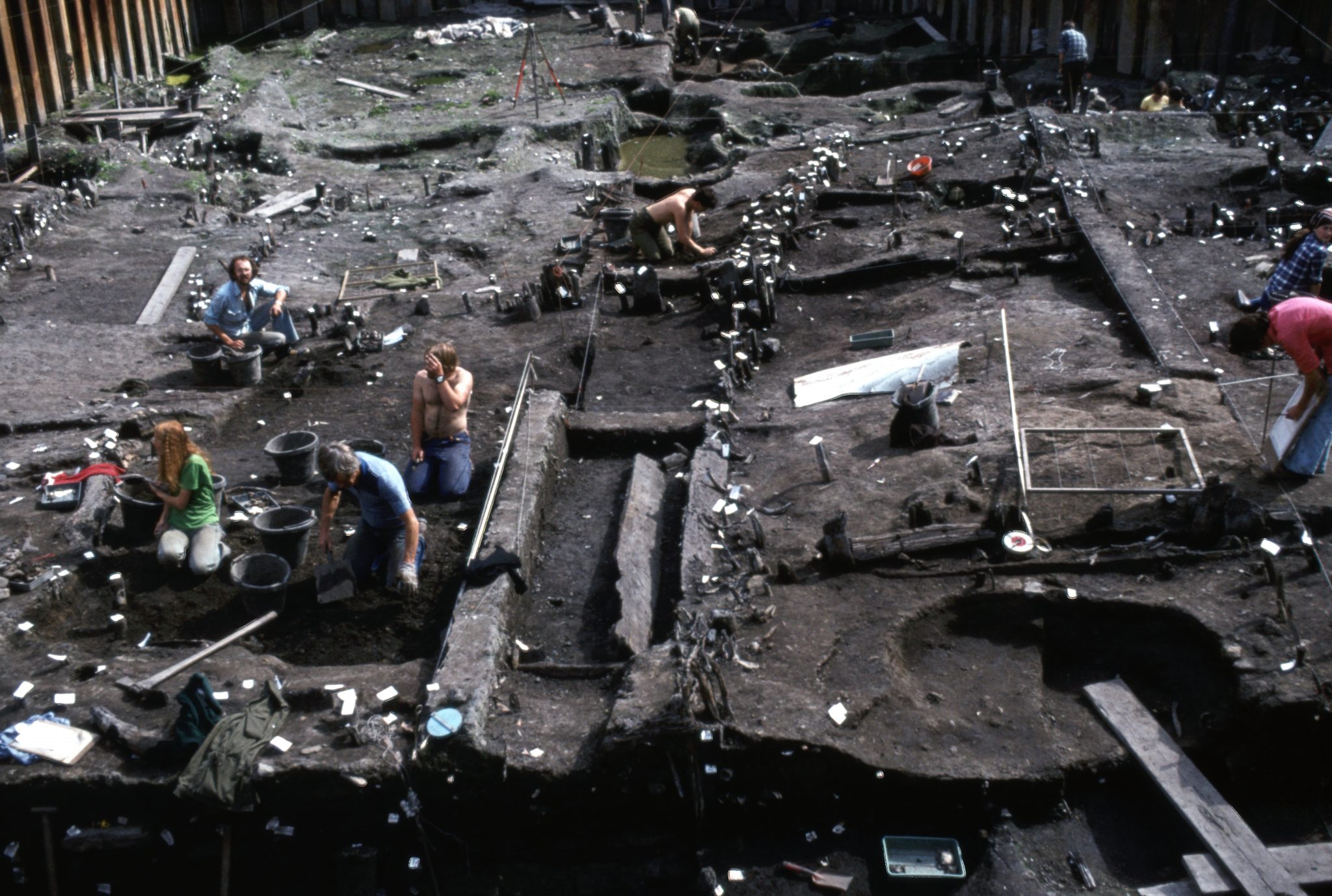 The Largest Fossilized Human Turd Ever Found Came From a Sick Viking