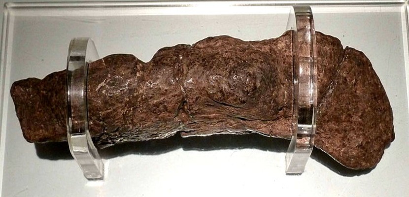 The Largest Fossilized Human Turd Ever Found Came From a Sick Viking 800px-lloyds_bank_coprolite_003-1