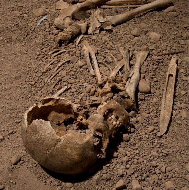 Neolithic skeleton