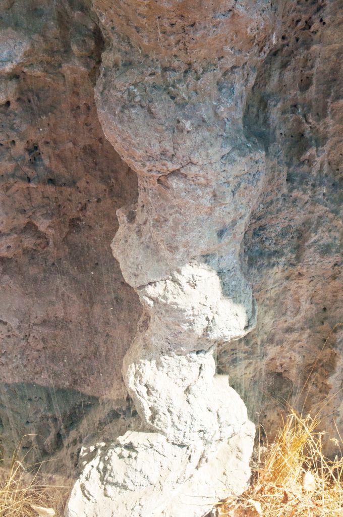 Mystery of Devil's Corkscrew Solving America's Baffling Fossil Formations The Vintage News