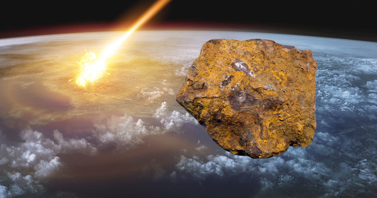 Man Digging in Garden Uncovers Largest Meteorite Ever Found in Germany The Vintage News