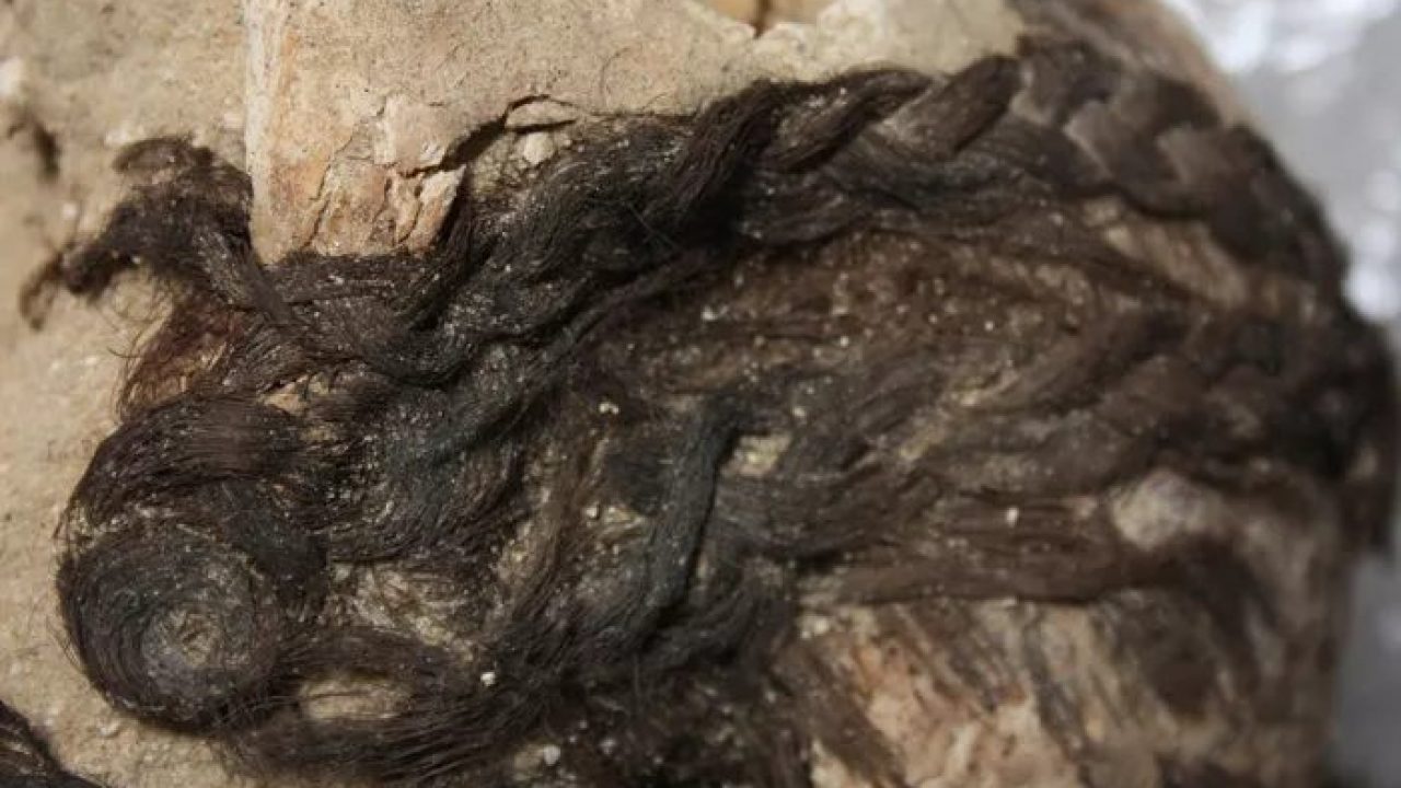 3 300 Year Old Egyptian Hairstyles Revealed They Wore Extensions