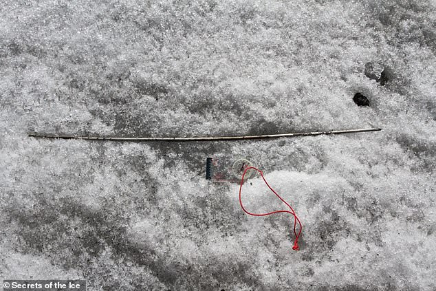 A 4,000-year-old arrow shaft found on the ice. Based on radiocarbon dating, the oldest arrows are from around 4100 BC, with the most recent dating from 1300 AD. Credit: secretsoftheice.com
