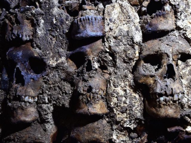 The bones likely belong to people sacrificed during the reign of Ahuízotl, eighth king of the Aztecs. Credit: National Institute of Anthropology and History