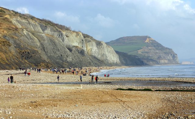 The Jurassic coast at Charmouth, Dorset, where the Annings made some of their finds. The hill in the background is Golden Cap. Kevin Walsh – CC BY 2.0