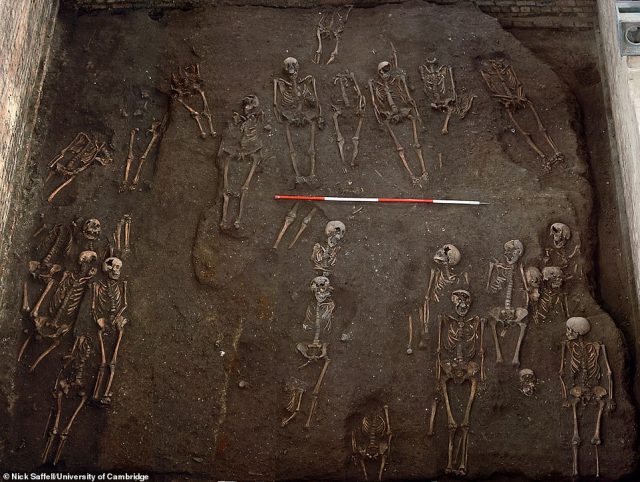 X-rays of more than 300 graveyard skeletons have revealed the high levels of injuries suffered by medieval manual labourers. Credit: University of Cambridge. 