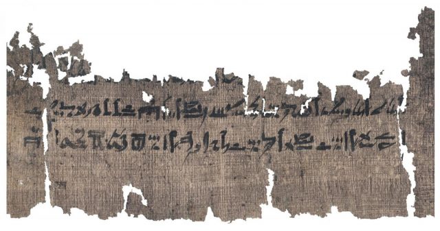 Section of the papyrus. Image courtesy of The Papyrus Carlsberg Collection, University of Copenhagen.