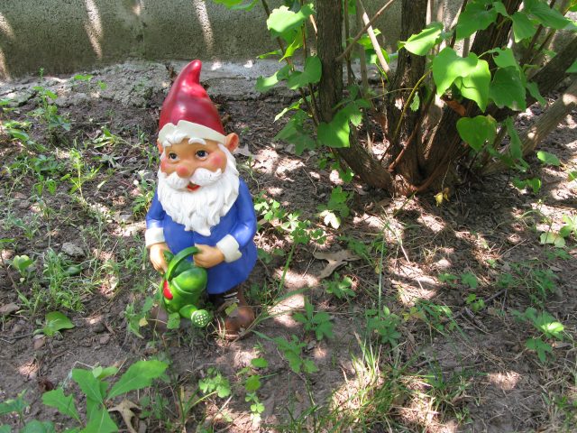 While garden centres have experienced growth during these turbulent times, their stocks of gnomes are depleted. Image by Ann Oro CC BY 2.0