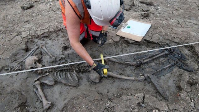The skeleton was found with one arm above its head and the other bent to the side. Image courtesy of MOLA HEADLAND INFRASTRUCTURE.