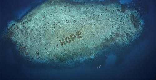 Hope project spells out "hope" in coral reefs