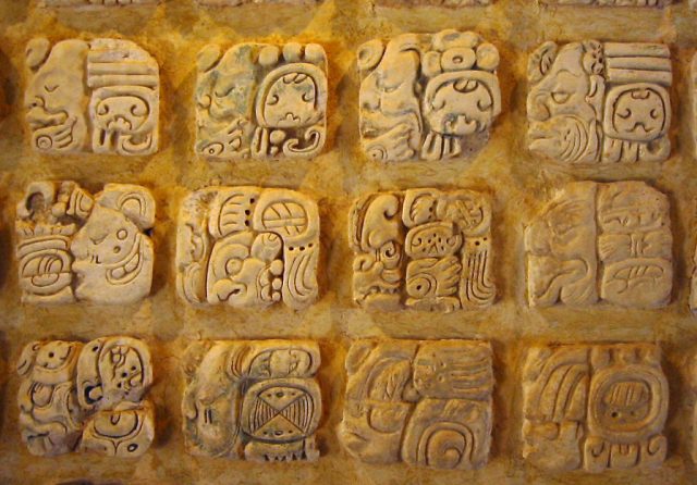 Maya stucco glyphs displayed in the museum at Palenque, Mexico.