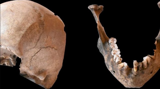 Skull and jawbone found at Stabiae