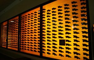 display at the Page Museum of 404 dire wolf skulls found in the Rancho La Brea tar pits, Los Angeles