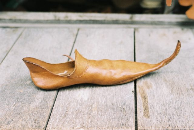 a very pointed medieval shoe